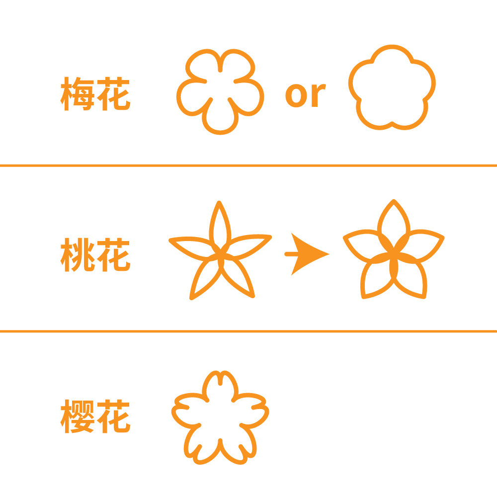 花朵基本型.png